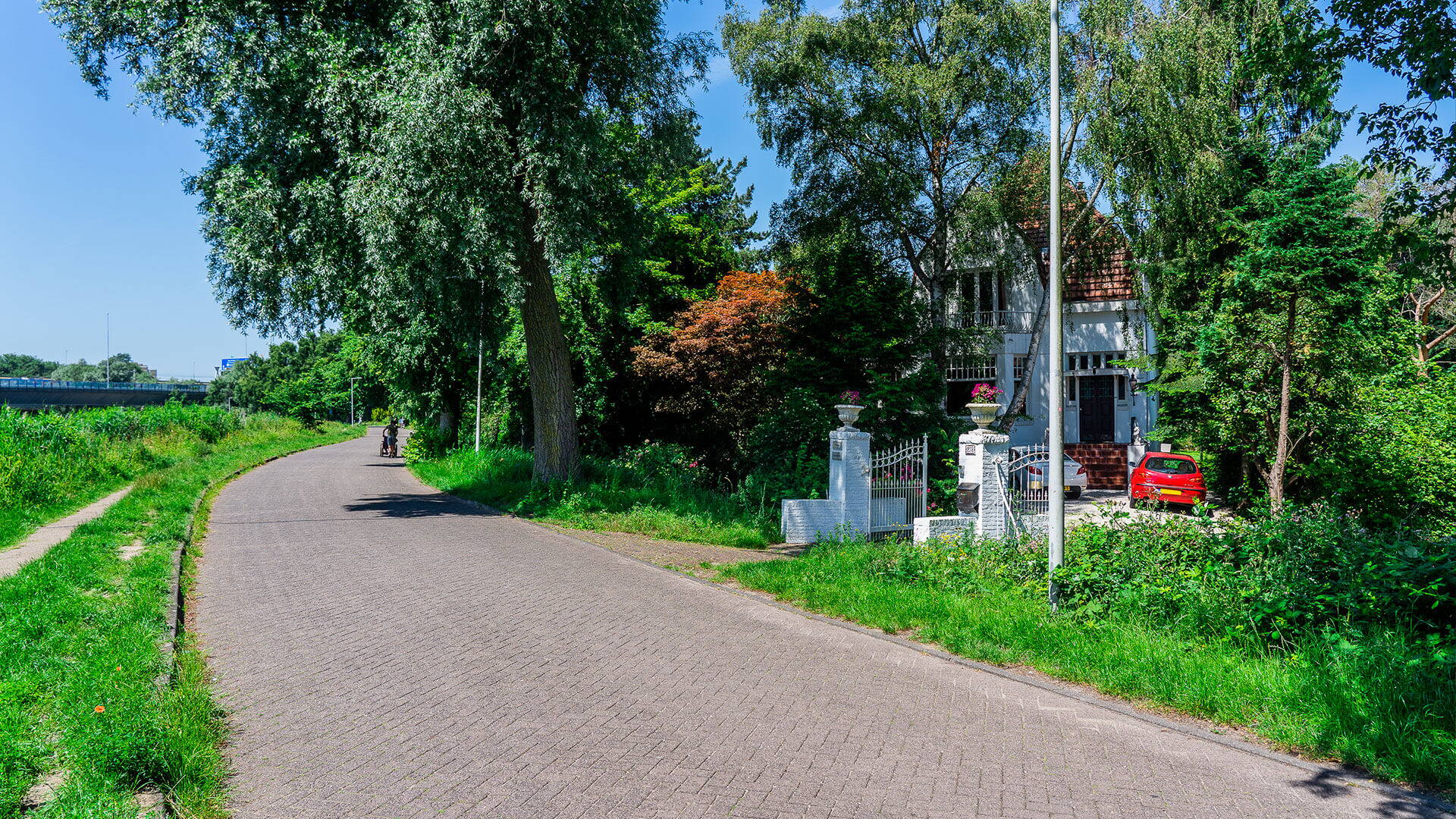 Rijnbuurt