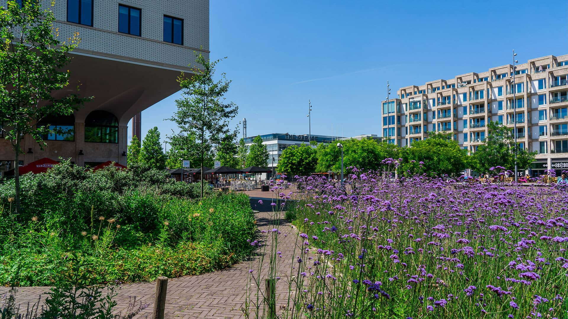 Amsterdam Estate Agents Amsterdam Estate Agents