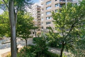 Gouden Leeuw 212, Amsterdam