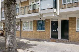 Dikninge 181, Amsterdam