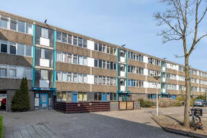 Spinaker 163 Amsterdam Spinaker 163 Amsterdam