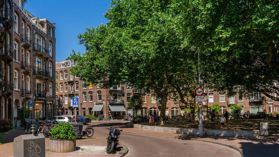 Expertise and people skills