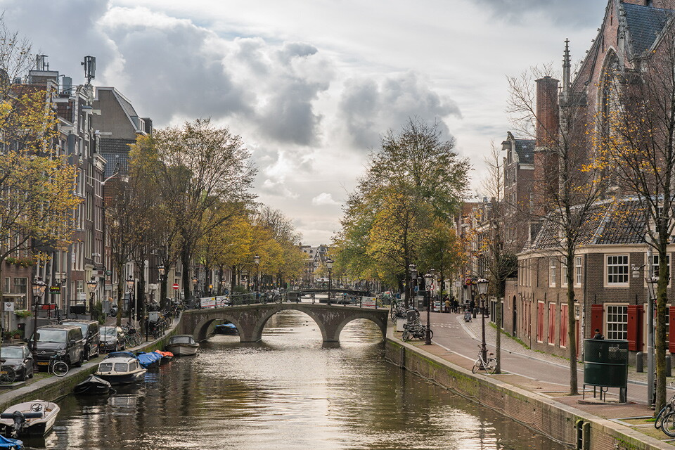 Placing an offer on a house