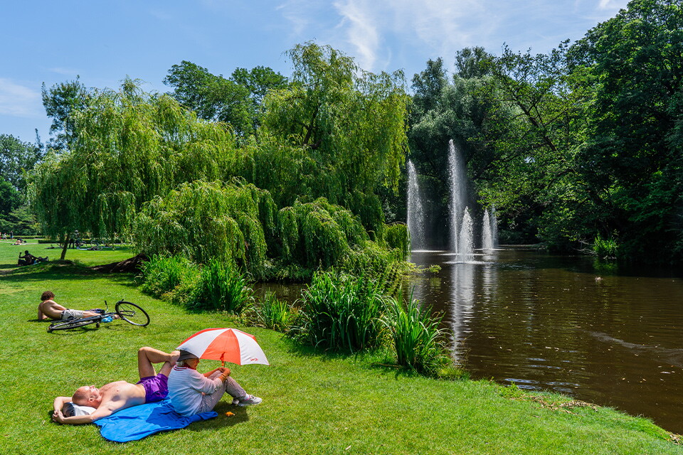 House Finder Service